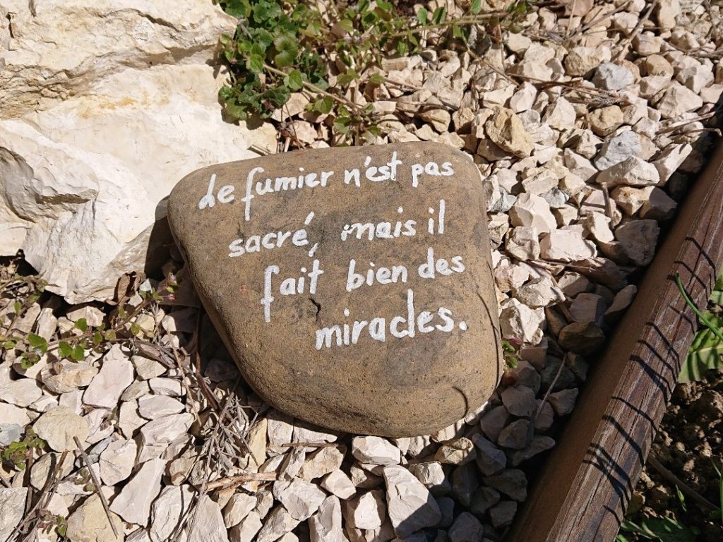 Des Citations Dans Le Jardin Les Mains Dans Le Petchi