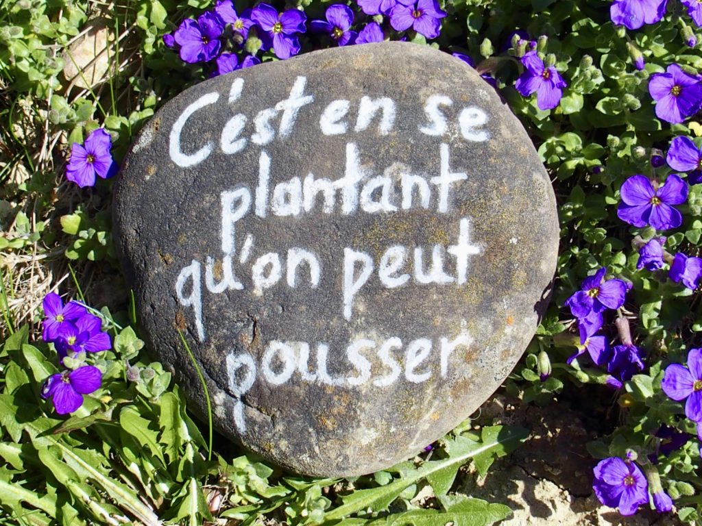 Des Citations Dans Le Jardin Les Mains Dans Le Petchi